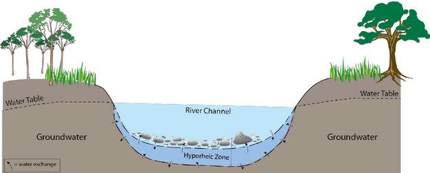 Groundwater and water table Groundwater and water table